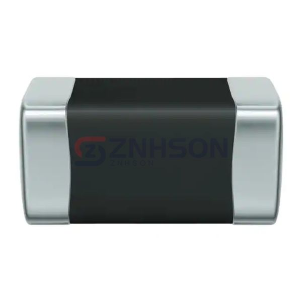B72500P8200S060 Preview