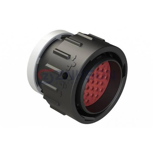 AHDP06-24-31PT-BRA Preview