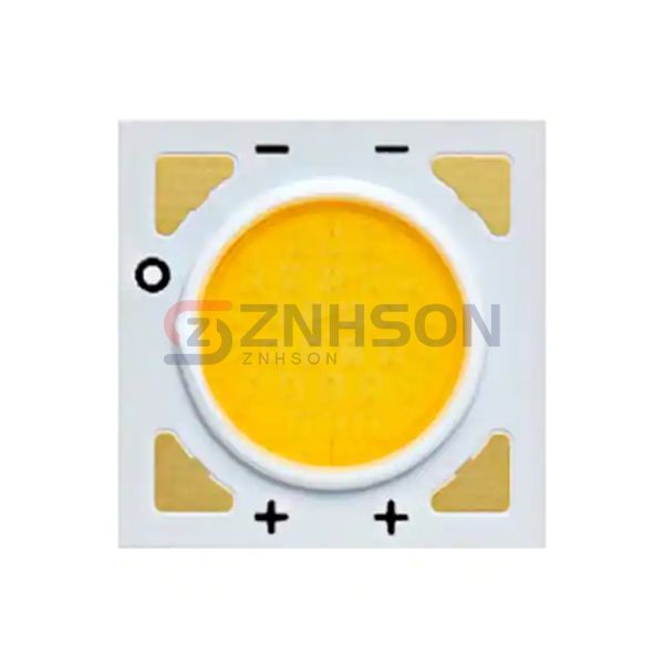 BXRE-40G0800-D-72 Preview