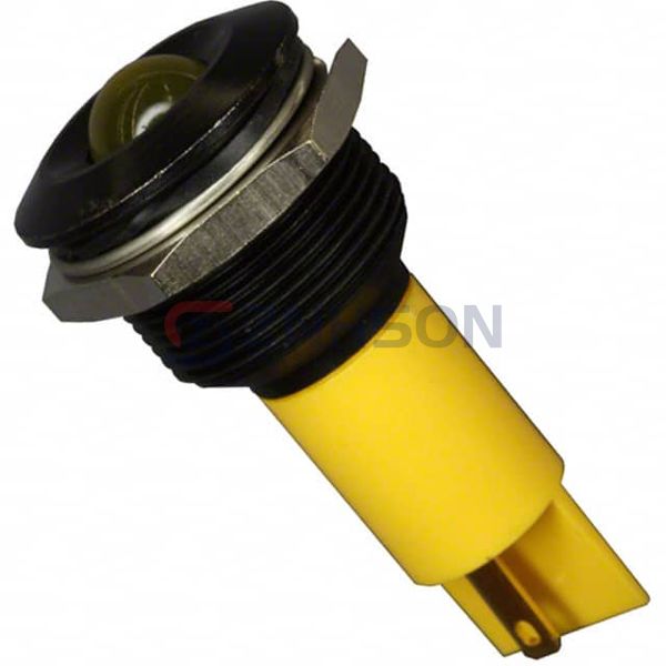 Q19P1BXXY24E Preview